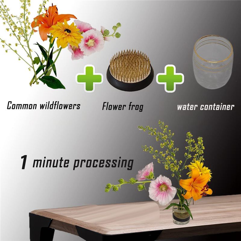 【Ausverkauf】3 Stück Blumenigel – Flower Frog Pin Bewertung und Preis